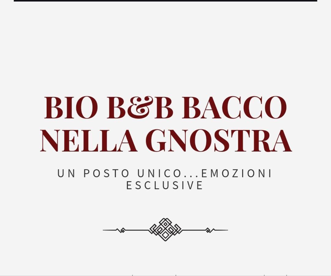 Bio B&B Bacco Nella Gnostra 알타무라 외부 사진